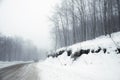 Road and trees in blizzard Royalty Free Stock Photo