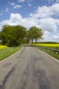 Road with trees and a blossoming, yellow colza field Royalty Free Stock Photo