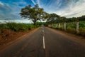 Road with trees at both side- Coimbatore Tamil Nadu India Royalty Free Stock Photo