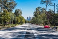 Road with trees eading to skyscrapers on a sunny day