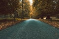 The road between trees in the fall season leads to the National Trust Abbey, Autunm in UK