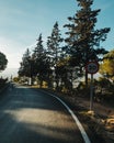 road and trees Royalty Free Stock Photo