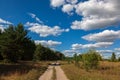 Road, trees, meadow against a blue sky with white clouds Royalty Free Stock Photo