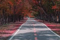 Red tone color road through and trees in park.Autumn theme. Royalty Free Stock Photo