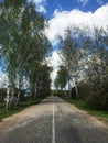 Road in trees