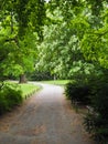 Road between trees in Tiergarten Park Berlin. Royalty Free Stock Photo