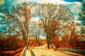 Road and trees tunnel Royalty Free Stock Photo