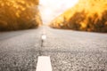 Road trip. Beautiful view of asphalt highway on day, closeup Royalty Free Stock Photo