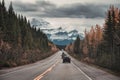 Road trip with car driving on highway in autumn pine forest with rocky mountains at Banff national park Royalty Free Stock Photo
