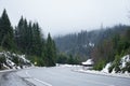 Road trip concept. Empty country road in winter. Trees and roadside in the snow. Winter trip Royalty Free Stock Photo