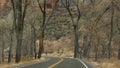 Road trip, driving auto in Zion Canyon, Utah, USA. Hitchhiking traveling in America, autumn journey. Red alien steep Royalty Free Stock Photo