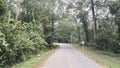 Road trip through the mountains. View from the car on the road street to the Phu Lom Lo mountain, Phu Hin Rong Kla National Park.