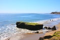 California Pacific Coastal Black dog watching by the beach Royalty Free Stock Photo