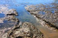 California Pacific Coastal scenery of the ocean low tide Royalty Free Stock Photo