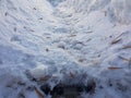 Road and trodden path in the snow