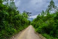 ROAD THROUGH TROPICAL FOREST Royalty Free Stock Photo