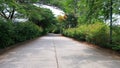 Road in the tropical jungle - summer season - asia Indonesia Royalty Free Stock Photo