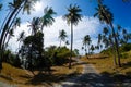 The road in tropics, palm trees Royalty Free Stock Photo