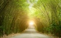 Road through tunnel of bamboo Royalty Free Stock Photo