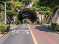 The road tunnel.