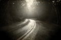 Road Turn in the Forest, Vintage Old style Weathered Print Textured Photograph