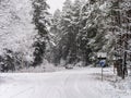 Road turn and leaving car in winter forest