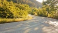 Road turns in the forest in spring season from Ioannina city to Vrosina village Greece