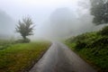 A road turns in the mist