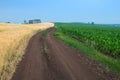 Road between two fields Royalty Free Stock Photo