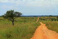 Road Through Ugandan Park Royalty Free Stock Photo