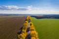 Fall landscape. Road under blue clear sky. Transportation background. Travel background. Sunny autumn aerial view. Fall nature.