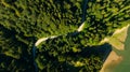 Road under forest near a lake, aerial view in the daytime