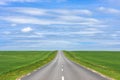 Empty asphalt country road up hill with green grass fields under white clouds and blue sky in the summer Royalty Free Stock Photo