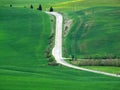 Road uphill with curves, in the Tuscan countryside, with other signs in the green, of paths and roadways