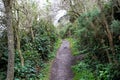 Road uphill, Holyrood park, Edinburgh Royalty Free Stock Photo