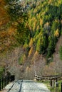 Road in Val di Mello in Autumn