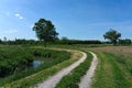 The road of the Veneto countryside