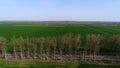 National road seen from drone, trees in row