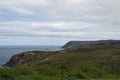 Road view between Old Perlican to Grates Cove, NL