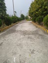 A road in a village area.trees, doble yellow dotted. Yellow and black.sky. straight road. Looking good. Well decorated