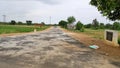 A road in a village of odisha