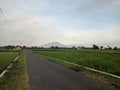 Road village rice fields mountain