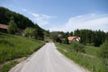 Road through the village, spring time in Slovenia. Landscape view. Forest and houses.