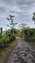 The road in village. Tlogowungu, central java, Indonesia. Royalty Free Stock Photo