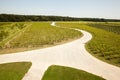 Road in a vineyard