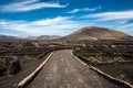 Road in vineyard in Lanzarote