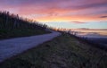 Road in vineyard at sunset Royalty Free Stock Photo