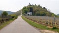Road among vineyards to Marienburg on a hill, Moselle valley, near Zell, Germany Royalty Free Stock Photo