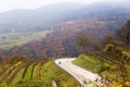 Autumn road between vineyards, Wachau, Austria Royalty Free Stock Photo