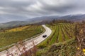 Autumn road between vineyards, Wachau, Austria Royalty Free Stock Photo